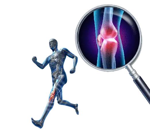 Joint & Bone Health