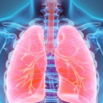 Strengthening your Respiratory system