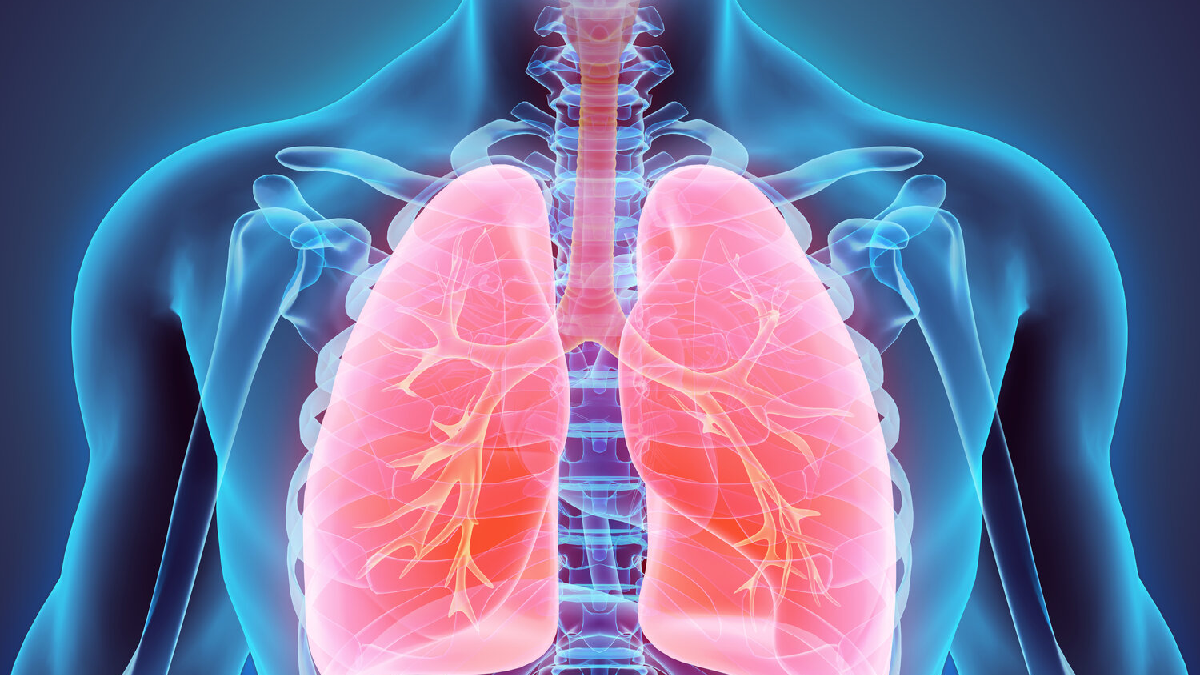 Strengthening your Respiratory system
